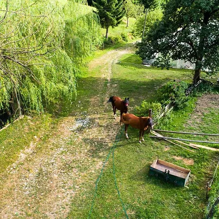 Organic Farm Hvadnik アパート *