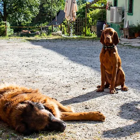 Organic Farm Hvadnik *