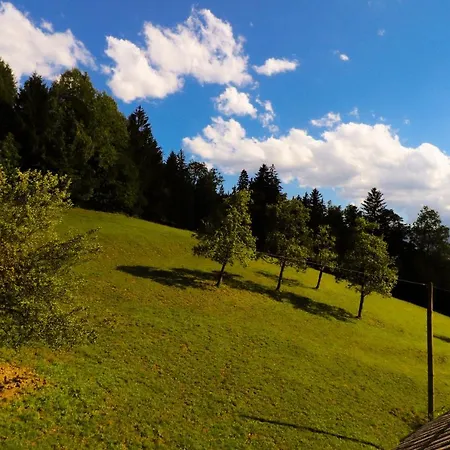 アパート Organic Farm Hvadnik *