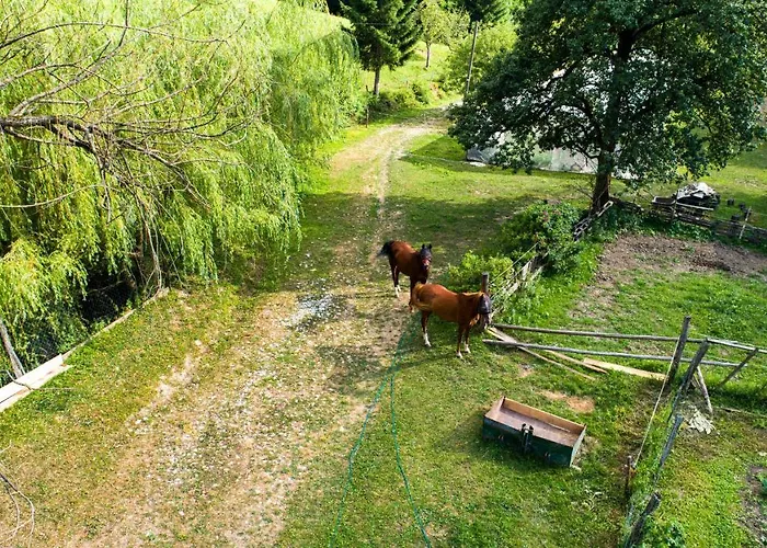 Organic Farm Hvadnik Apartman *